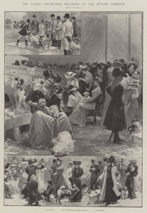 The Ladies